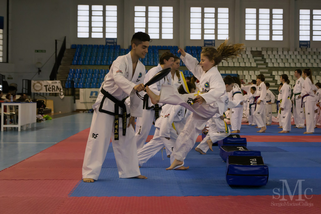 DIA DEL TAEKWONDO ABRIL 2017_3722.JPG
